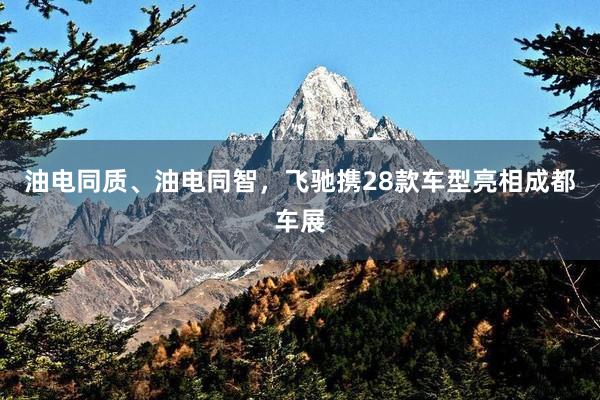 油电同质、油电同智，飞驰携28款车型亮相成都车展