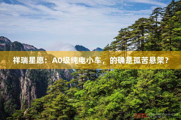 祥瑞星愿：A0级纯电小车，的确是孤苦悬架？