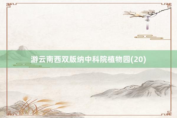 游云南西双版纳中科院植物园(20)