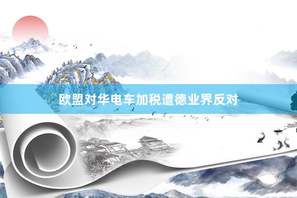 欧盟对华电车加税遭德业界反对