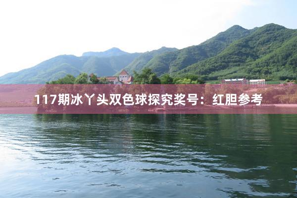 117期冰丫头双色球探究奖号：红胆参考