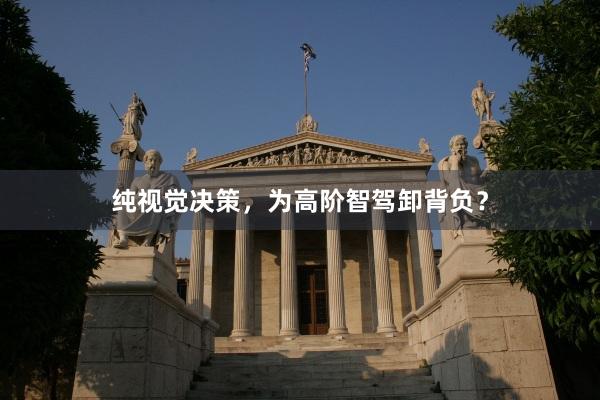 纯视觉决策，为高阶智驾卸背负？
