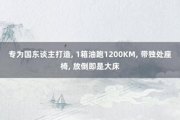 专为国东谈主打造, 1箱油跑1200KM, 带独处座椅, 放倒即是大床