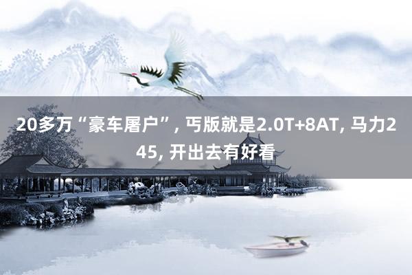 20多万“豪车屠户”, 丐版就是2.0T+8AT, 马力245, 开出去有好看