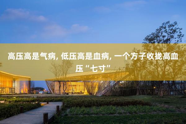高压高是气病, 低压高是血病, 一个方子收拢高血压“七寸”
