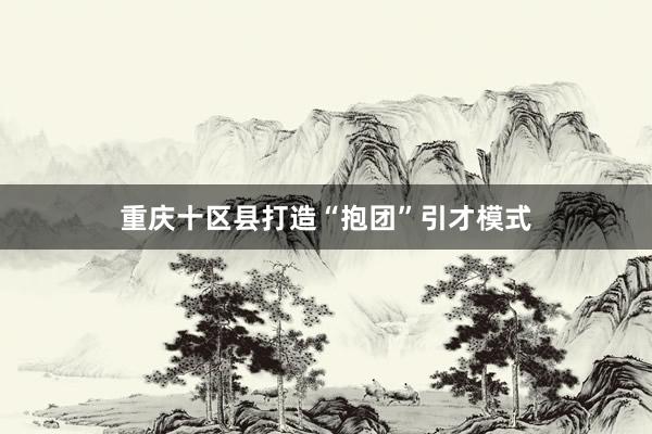 重庆十区县打造“抱团”引才模式