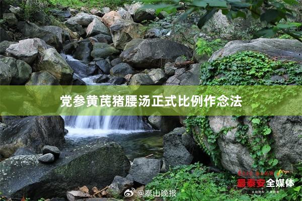 党参黄芪猪腰汤正式比例作念法