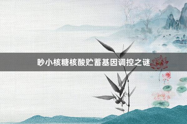 眇小核糖核酸贮蓄基因调控之谜
