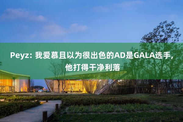 Peyz: 我爱慕且以为很出色的AD是GALA选手, 他打得干净利落