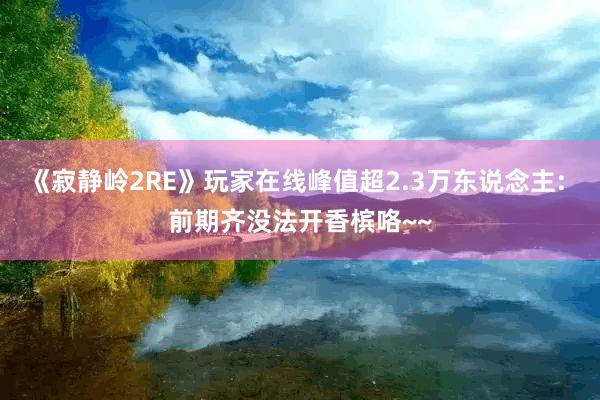 《寂静岭2RE》玩家在线峰值超2.3万东说念主: 前期齐没法开香槟咯~~