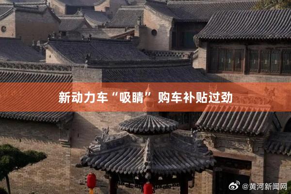 新动力车“吸睛” 购车补贴过劲