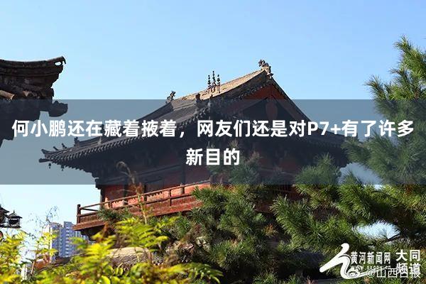 何小鹏还在藏着掖着，网友们还是对P7+有了许多新目的