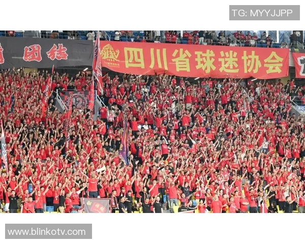 中国球迷组织成最大助威团震撼全场打造史上最强主场氛围